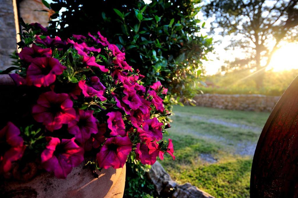 Agriturismo I Monti Semproniano Habitación foto